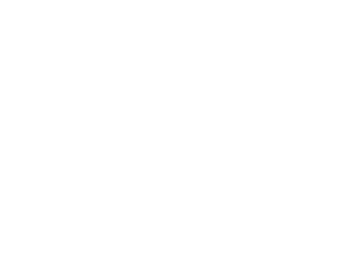 ICE 404